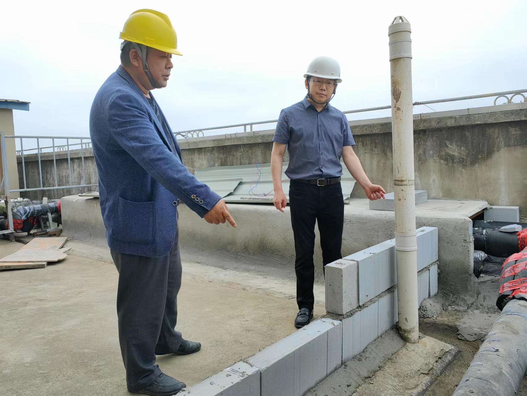 1685973155300226.jpg 1685973155300226.jpg